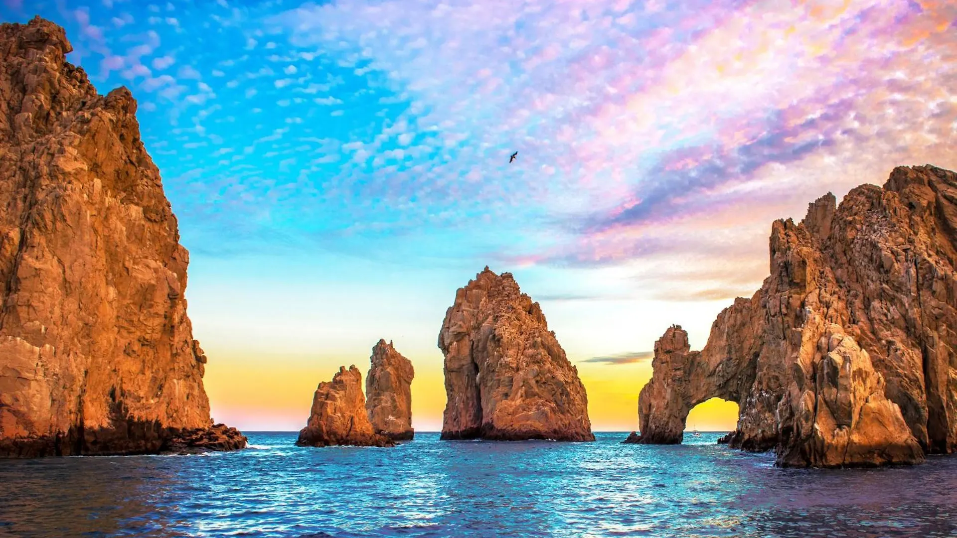 Lägenhet Perfect Location Relax In Style Minutes From Beach Cabo San Lucas